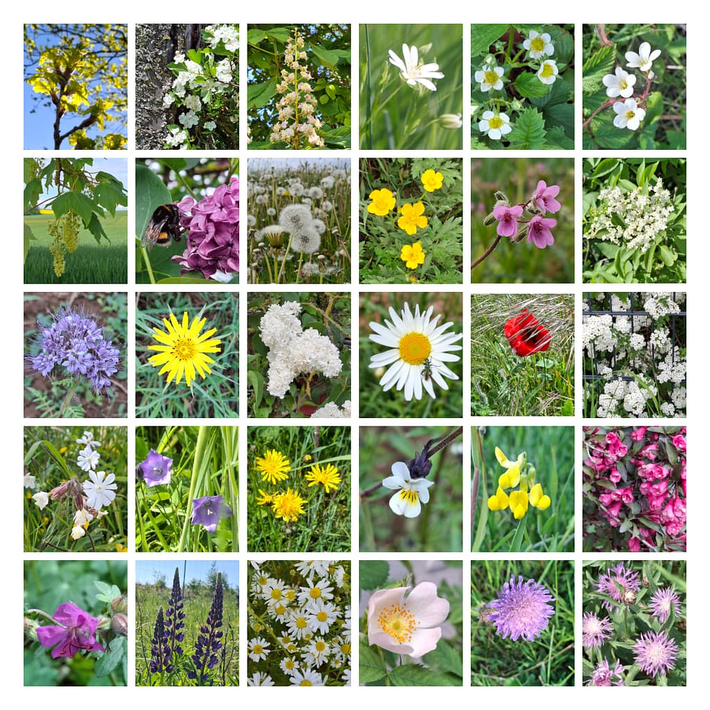 Der Mai 2026 in 30 Naturfotos.