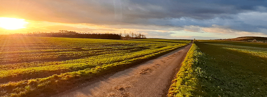 Beitragsbild Jahresrückblick 2025