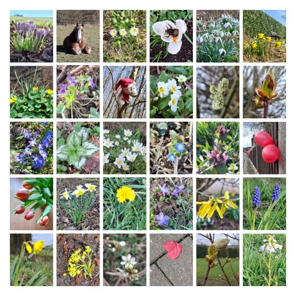 Monatsrückblick März als Foto-Collage