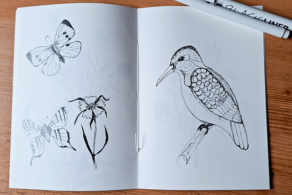 Ein Blick in mein aktuelles Sketchbook mit Fineliner-Skizzen, Schmetterlinge, ein Vogel