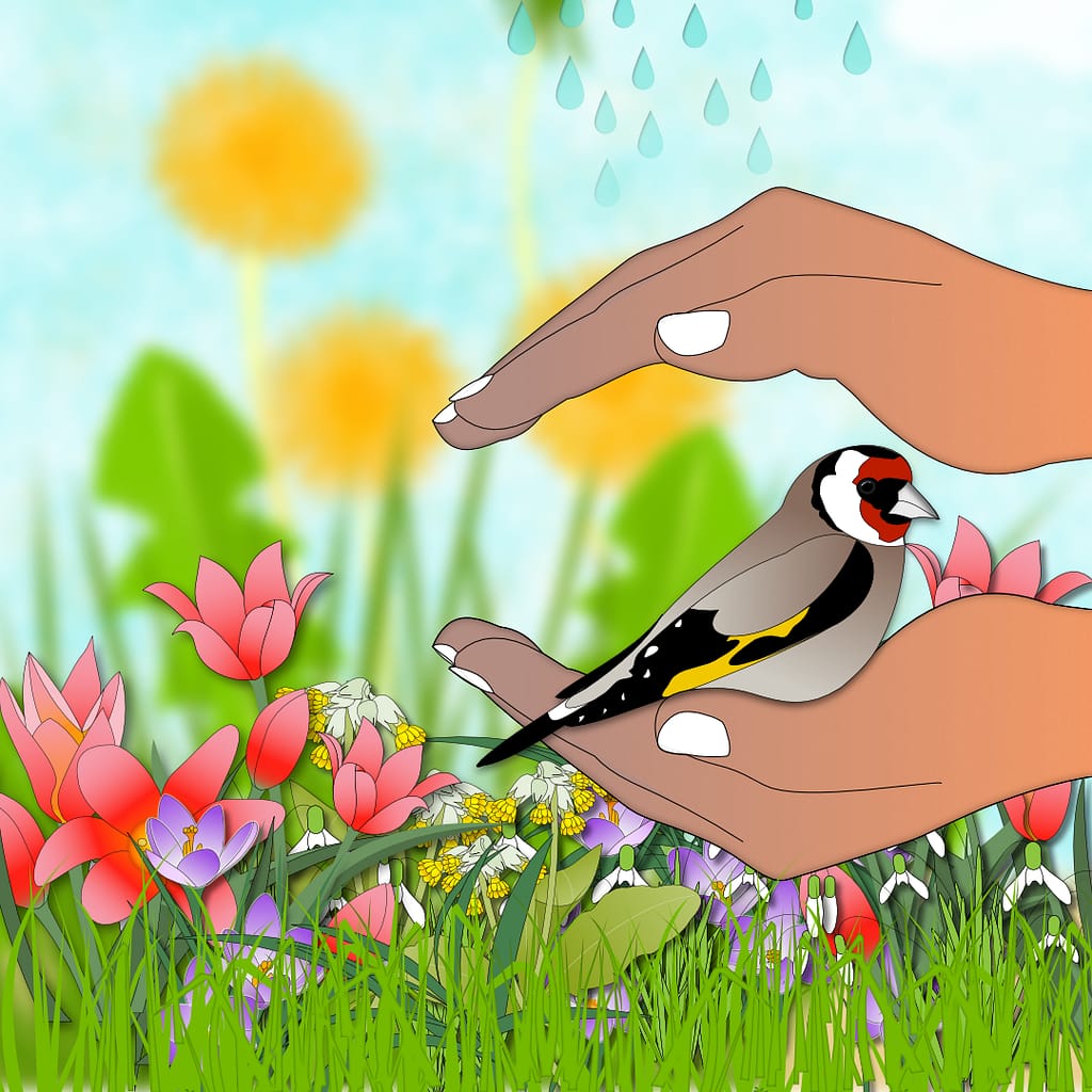 Illustration Umwelt und Naturschutz, blühende Blumenwiese, Schützende Hände, Stieglitz Illustration