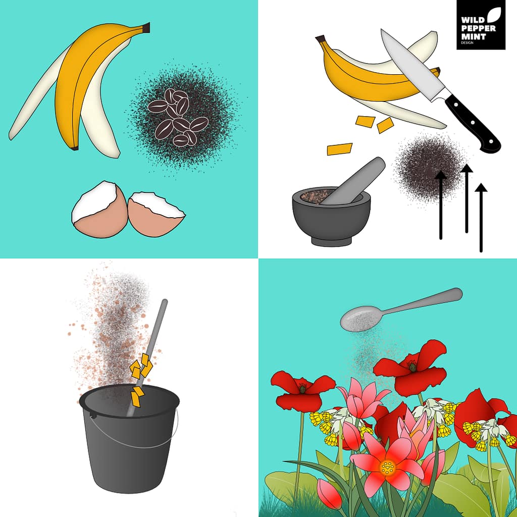 Illustration Biodünger selber herstellen, aus Kaffeesatz, Eierschalen und Bananenschalen, nachhaltiger leben
