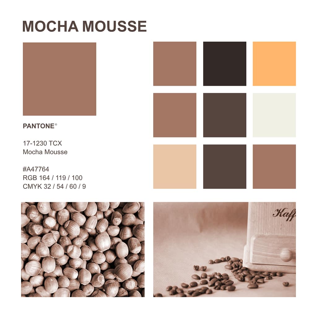 Farbe des Jahres 2025 - Mocha Mousse