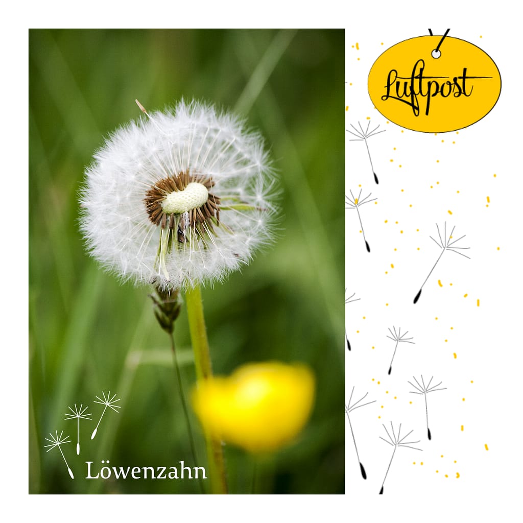 Natürliches Logo Löwenzahn