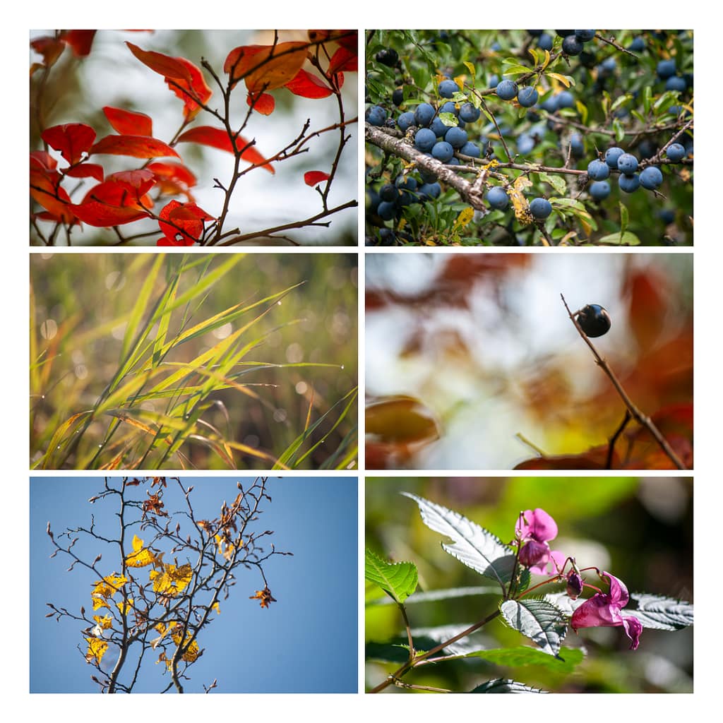 Rückblick September in den schönsten Herbstfarben der Natur