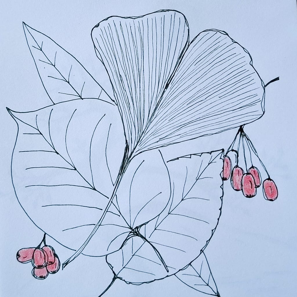 Skizze mit Fineliner, Blätter