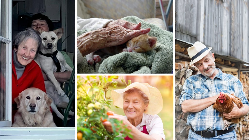 Gemeinwohlökonomie - Bauernhof statt Altenheim e.V.