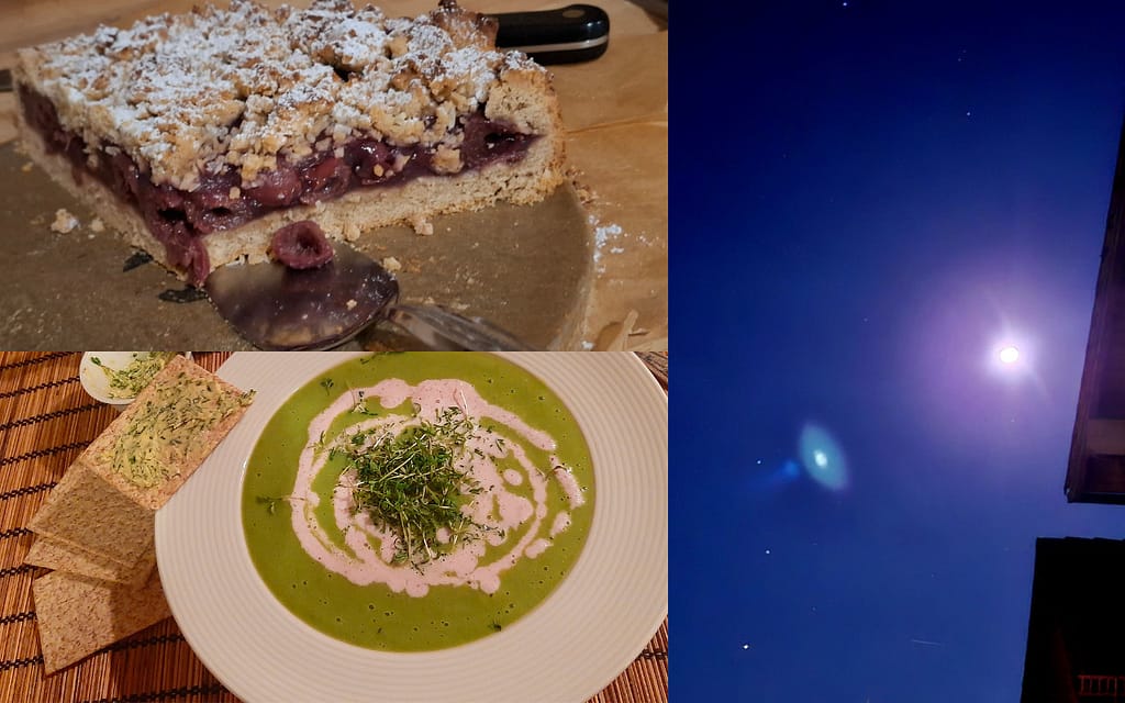 12 von 12 Januar 2025