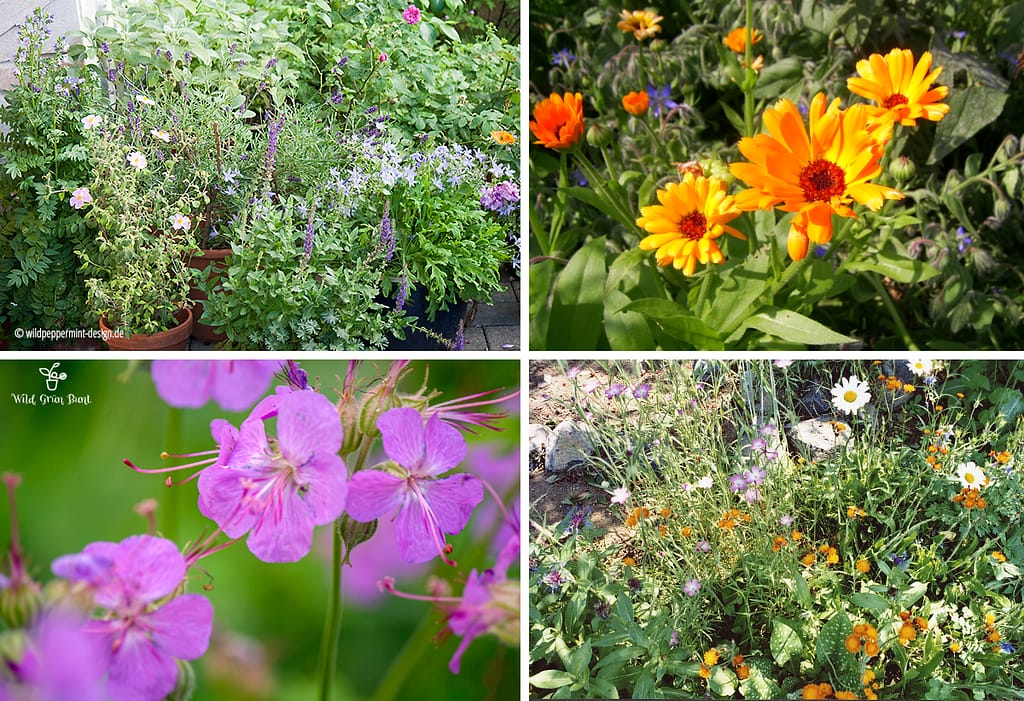 Natürlich gärtnern, Topfgarten, Naturgarten