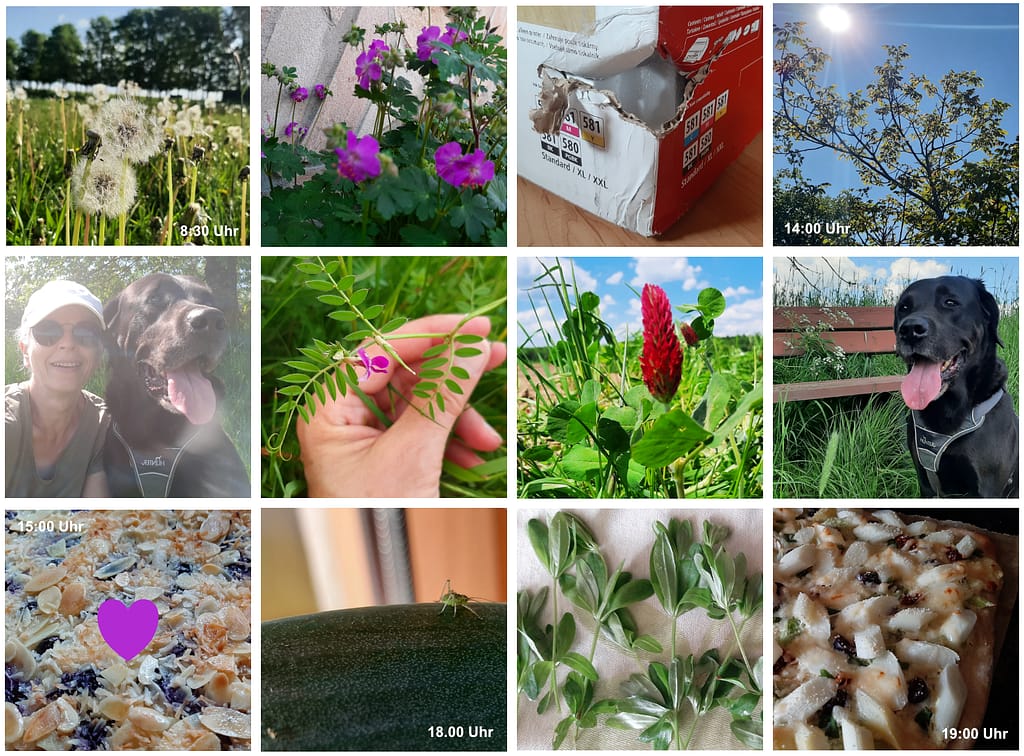 12 von 12. Mein 12. Mai 2024 in 12 Bildern