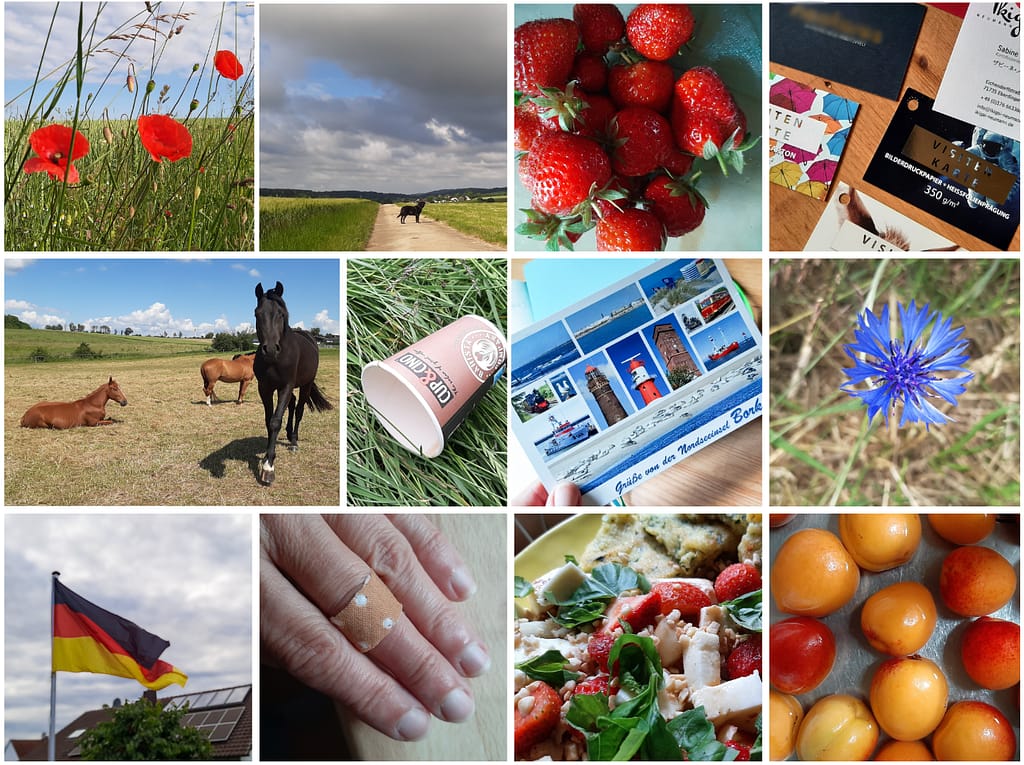 12 von 12 - mein 12. Juni