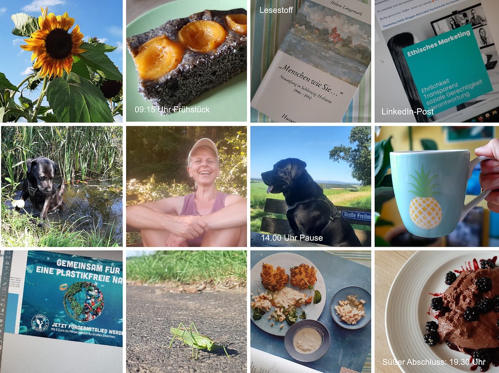 12 von 12 August 2024