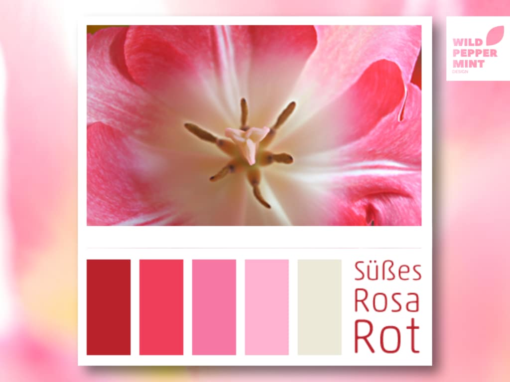 Rosa, Pink, Magenta als Unternehmensfarbe, wie wirkt Rosa, Zu welcher Branche passt Rosa als Firmenfarbe