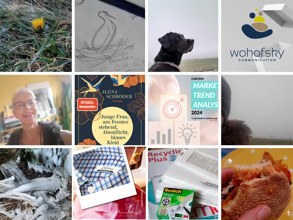 12 von 12 Januar 2024, Blogaktion 12 von 12, ein Tag im Januar in 12 Bildern.
