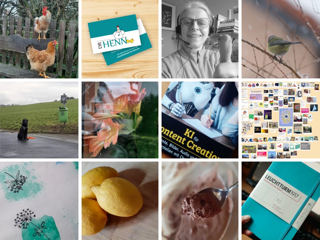 12 von 12 - Mein Bürotag am 12. Februar 2024 - ein Rosenmontag