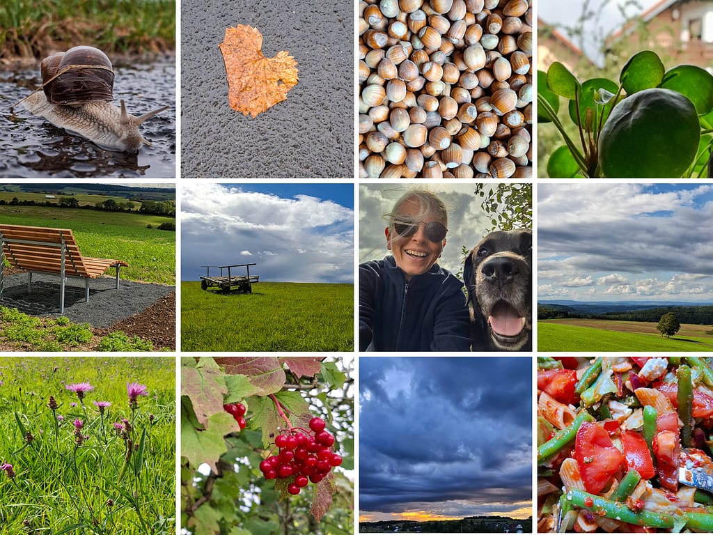 12 von 12 September 2024