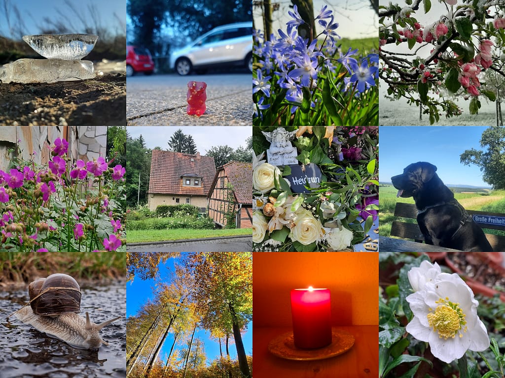 Jahresrückblick 2024 - meine Bilder des Jahres