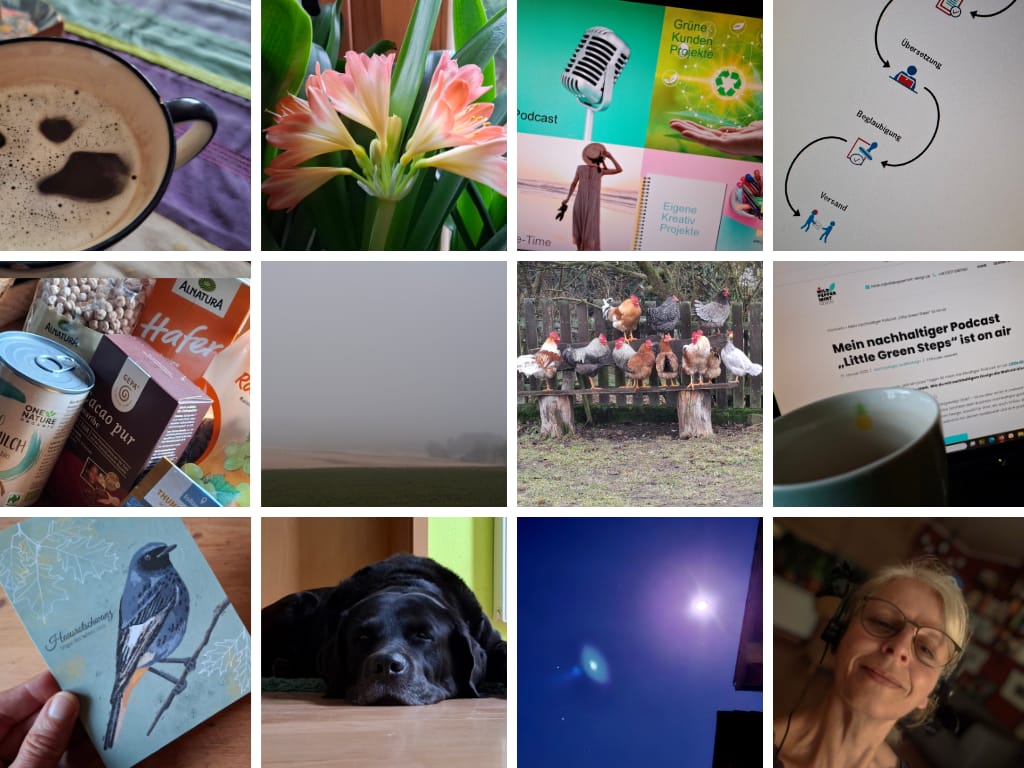 12 von 12 Februar 2025