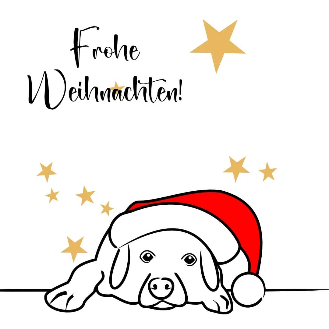 Umweltfreundliche Weihnachtskarten Hund