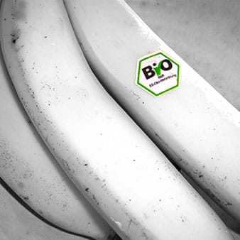 Nachhaltigkeits-Siegel: EU-Bio-Siegel (Bananen)