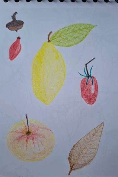 Sketchbook - Buntstiftzeichnung