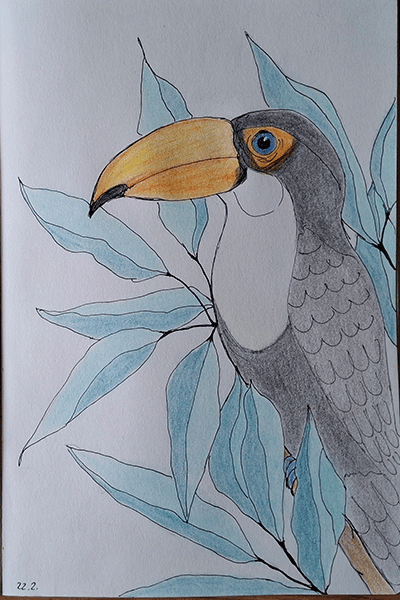 Aus meinem Sketch-Book - Tukan gezeichnet mit Fineliner und Buntstift