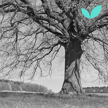 Markencheck - Das Markenfundament: Materialien - Kreislauf - Büroalltag