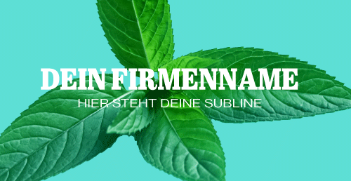 Beispiel Schriftkombination für ein Textlogo