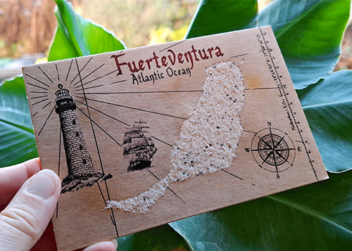 Postkarte aus Fuerteventura