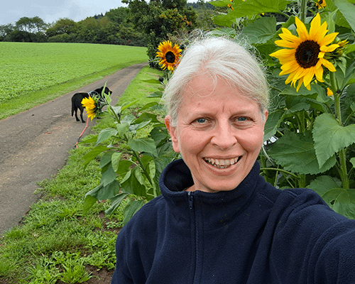Heidrun's Rückblick Oktober – mit Sonnenblumen im Hintergrund