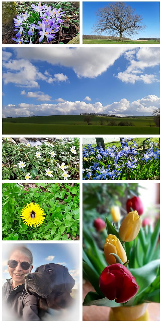 Monatsrückblick, Bilder des Monats März, Naturfotos