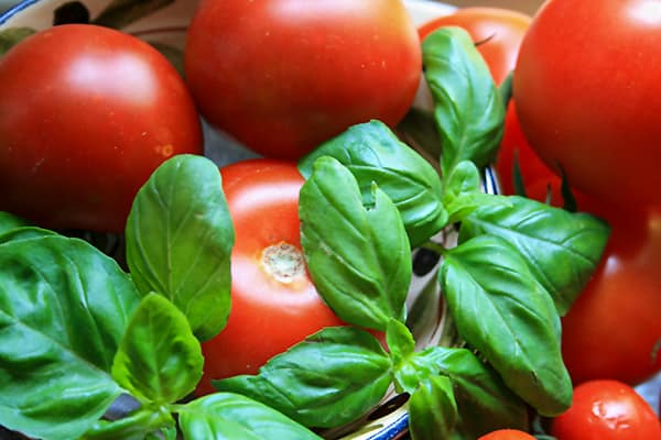 Farben: Tomaten und Basilikum