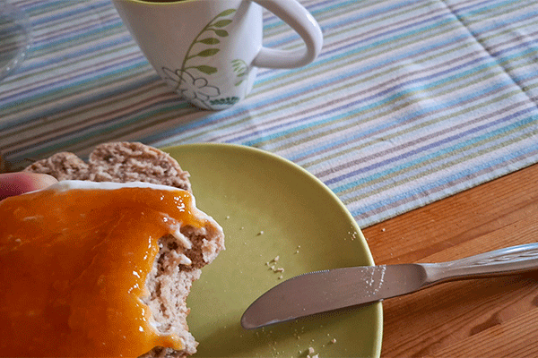 Frühstück mit Vollkornbrötchen und Aprikosen-Marmelade