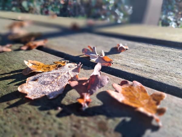 Jahresrückblick 2024 - was ich zurücklasse