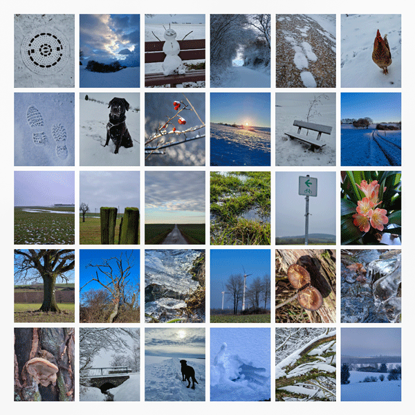 Januar-Rückblick 2026: als Foto-Collage in 30 Bildern.