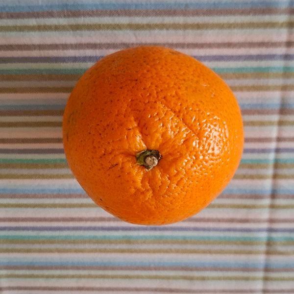 Mittagssnack - eine Orange