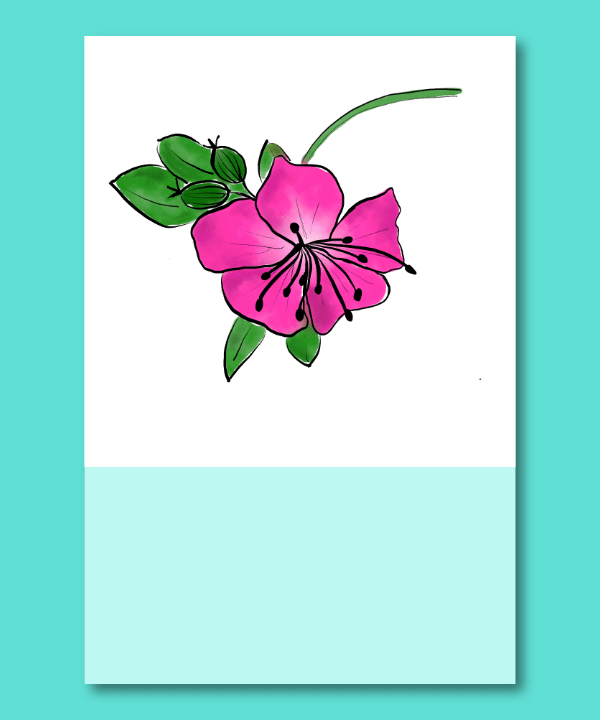 Illustration rosa Storchschnabel handgezeichnet