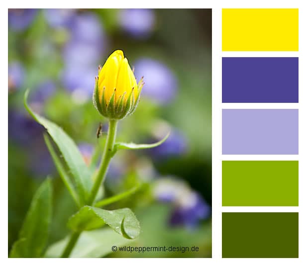 Farbpalette mit Violett, Grün und Gelb für Corporate Design