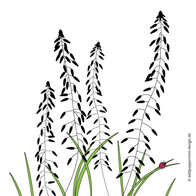 Natur inspiriert - Illustration Wildblumen