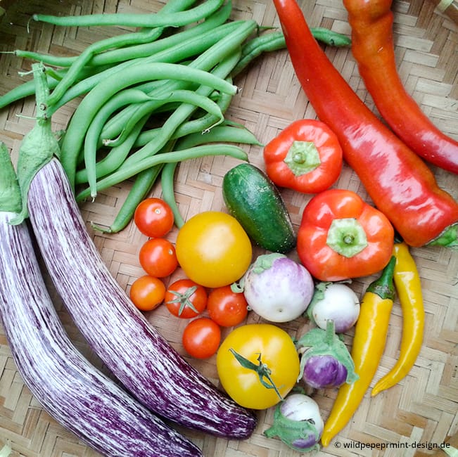 buntes, frisches Gemüse aus dem eigenen Topfgarten: grüne Bohnen, Chilis, Paprika, Auberginen, Tomaten, kleine Gurke