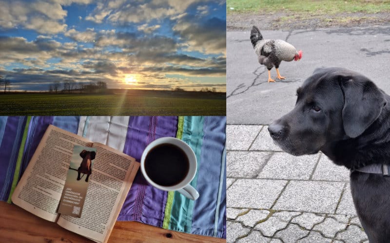 12 von 12 Januar 2025 Morgens