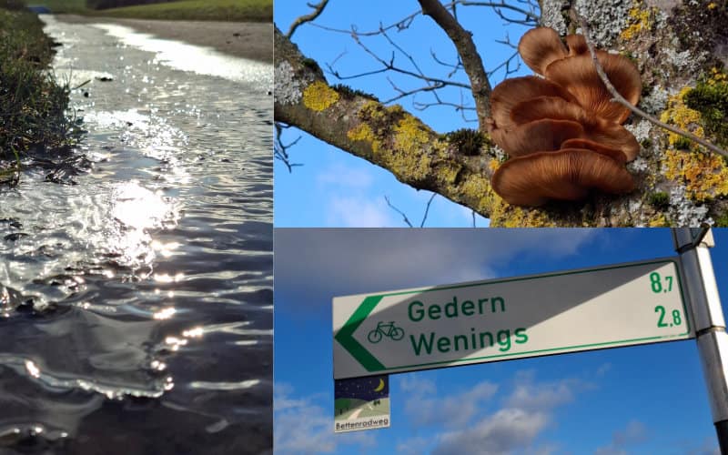 12 von 12 Januar 2025