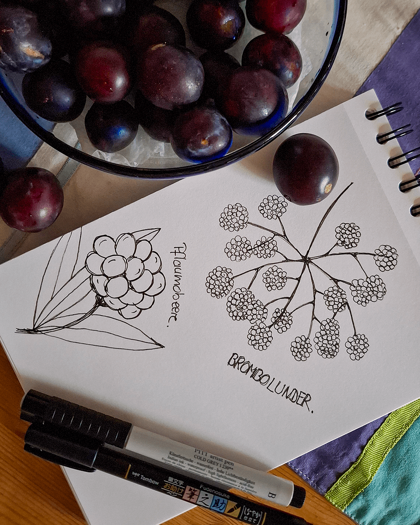 Monatsrückblick Juli – tägliche Skizzen im Sketchbook, Pflanzen & Blüten.