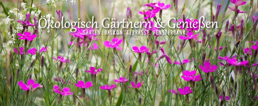 Facebook Gruppe Ökologisch Gärtnern