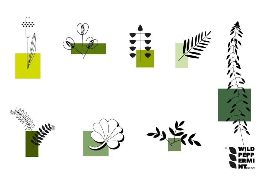 Natur inspiriert - Blätter Illustrationen