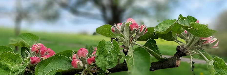 12 von 12 Mein Tag in 12 Bildern April 2024