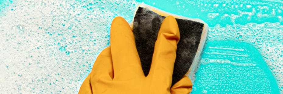 Alles neu - Relaunch Wildpeppermint-Design