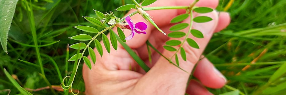 Beitragsbild 12 von 12 - 12. Mai 2024