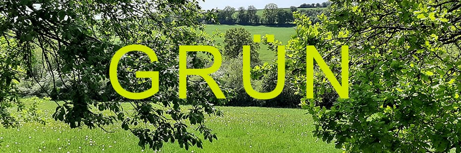 Beitragsbild Grün
