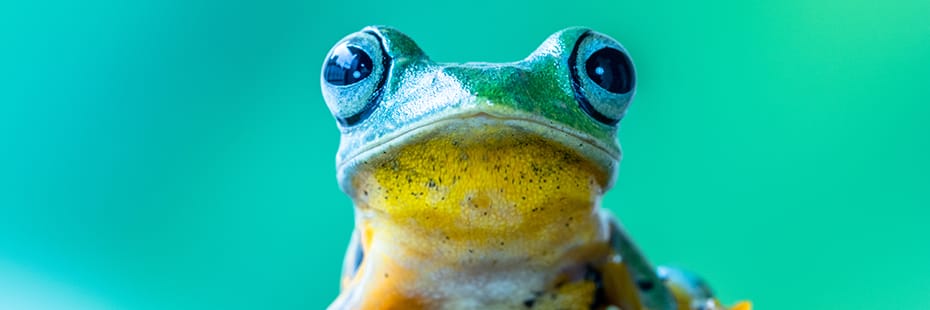 Monatsrückblick Mai